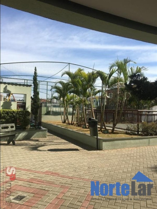 Imagem Apartamento com 2 Quartos à Venda, 54 m² em Vila Palmeiras - São Paulo