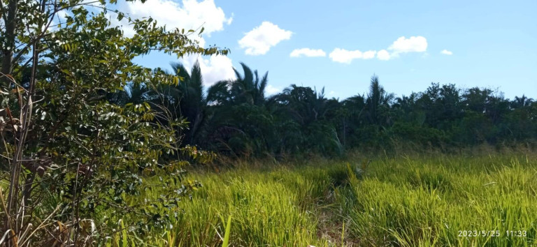 Imagem Chácara com 2 Quartos à Venda, 15 m² em água Fria - Chapada Dos Guimarães Imagem Chácara com 2 Quartos à Venda, 15 m² em água Fria - Chapada Dos Guimarães
