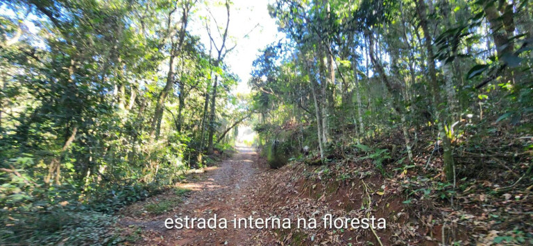 Imagem Chácara com 3 Quartos à Venda, 60 m² em Atibaia Imagem Chácara com 3 Quartos à Venda, 60 m² em Atibaia
