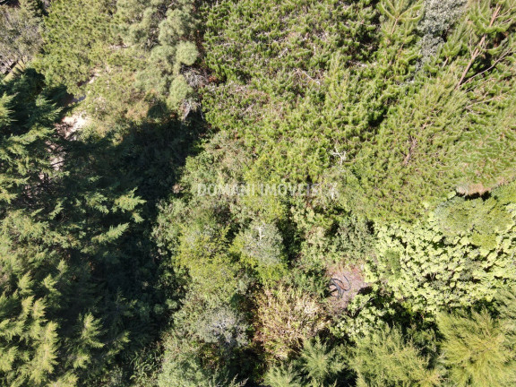 Imagem Terreno à Venda, 1.090 m² em Região Do Alto Do Capivari - Campos Do Jordão Imagem Terreno à Venda, 1.090 m² em Região Do Alto Do Capivari - Campos Do Jordão