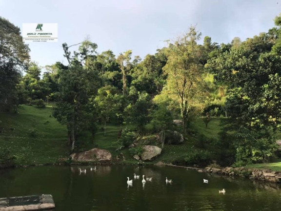 Imagem Chácara com 3 Quartos à Venda, 13.000 m² em Sorocamirim - São Roque
