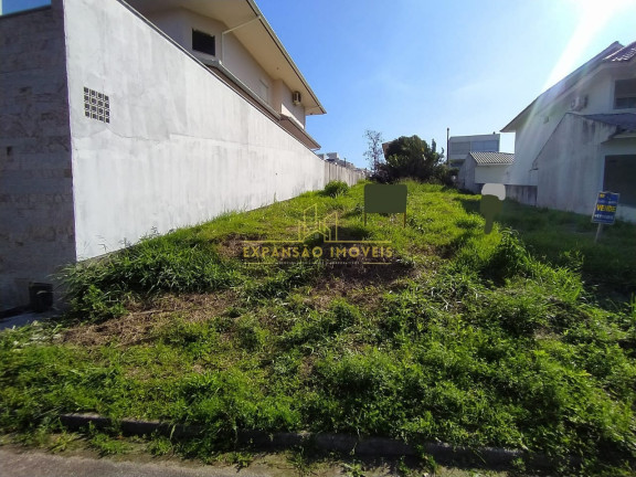 Imagem Terreno à Venda, 527 m² em Pedra Branca - Palhoça Imagem Terreno à Venda, 527 m² em Pedra Branca - Palhoça