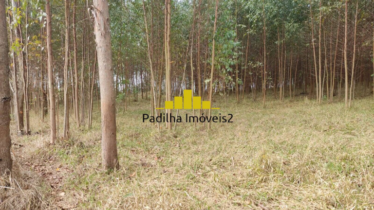 Imagem Chácara à Venda, 2 m² em Rural - Itapetininga Imagem Chácara à Venda, 2 m² em Rural - Itapetininga