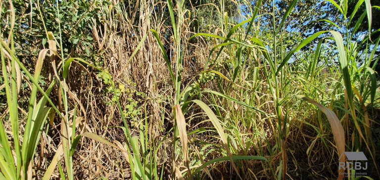 Imagem Terreno à Venda, 980 m² em Fernão Dias - Esmeraldas Imagem Terreno à Venda, 980 m² em Fernão Dias - Esmeraldas