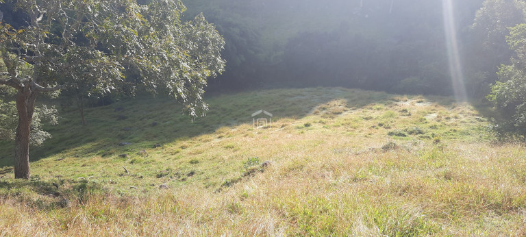Imagem Imóvel à Venda, 3 m² em Córrego Das Foices (rural) - Bandeira Do Sul