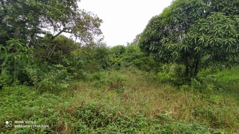 Imagem Terreno à Venda, 5.000 m² em Aldeia Dos Camarás - Camaragibe Imagem Terreno à Venda, 5.000 m² em Aldeia Dos Camarás - Camaragibe
