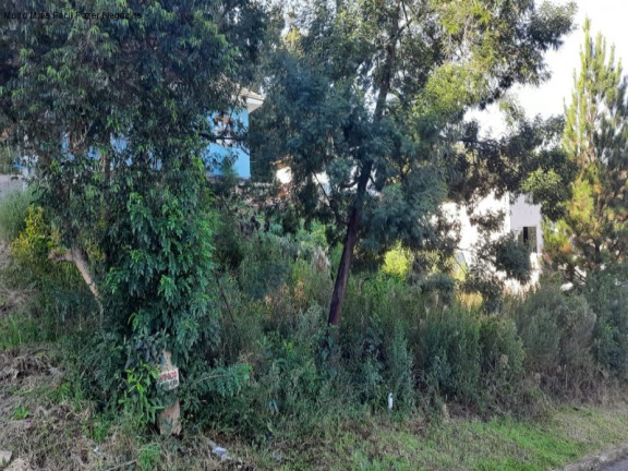 Imagem Terreno à Venda, 420 m² em Piá - Nova Petrópolis