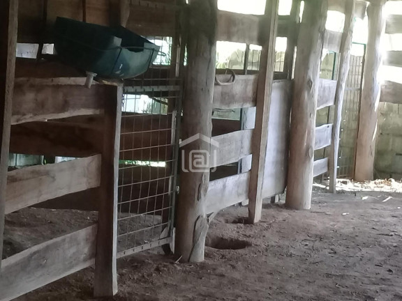 Imagem Imóvel com 1 Quarto à Venda, 20.000 m² em Bocaina (rural) - Caldas