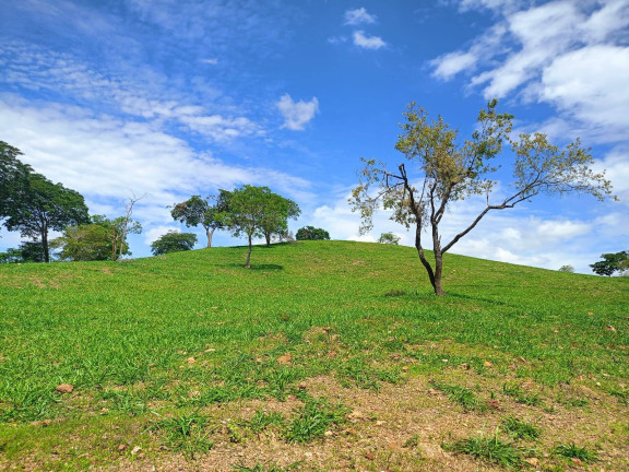 Imagem Fazenda à Venda, 14 m² em Zona Rural - Luziânia