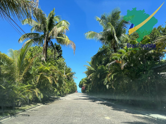 Imagem Terreno à Venda, em Trancoso - Porto Seguro Imagem Terreno à Venda, em Trancoso - Porto Seguro
