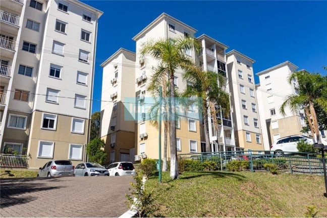 Imagem Apartamento com 3 Quartos à Venda, 67 m² em Morro Santana - Porto Alegre
