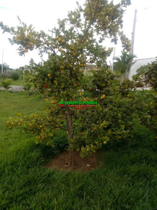 Imagem Chácara com 3 Quartos à Venda, 67.000 m² em Sob Consulta - Taubaté Imagem Chácara com 3 Quartos à Venda, 67.000 m² em Sob Consulta - Taubaté