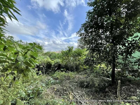 Terreno à Venda, 907 m² em Vila Santo Antônio - Cotia