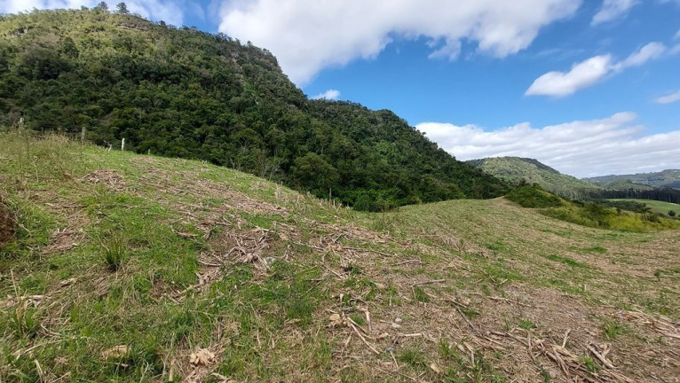 Imagem Terreno à Venda, 120.000 m² em Zona Rural - Agrolândia Imagem Terreno à Venda, 120.000 m² em Zona Rural - Agrolândia