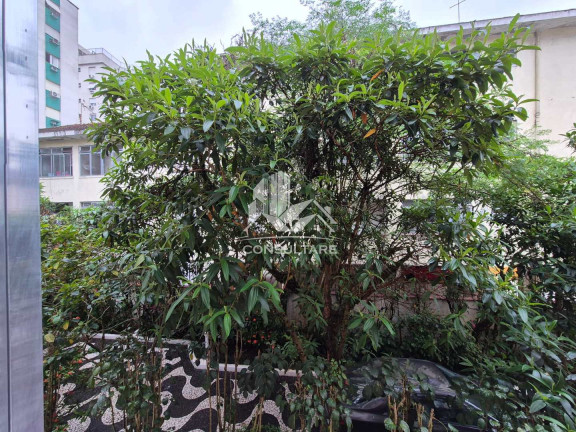 Imagem Apartamento com 2 Quartos à Venda, 52 m² em Gonzaga - Santos