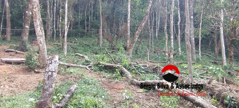 Imagem Terreno à Venda, 1.940 m² em Nova Capivari - Campos Do Jordão Imagem Terreno à Venda, 1.940 m² em Nova Capivari - Campos Do Jordão