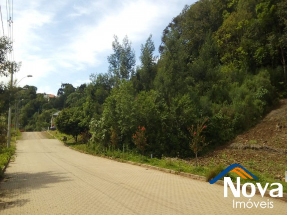 Imagem Imóvel à Venda, 431 m² em Bavária - Nova Petrópolis Imagem Imóvel à Venda, 431 m² em Bavária - Nova Petrópolis