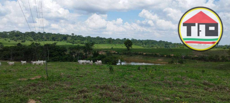 Imagem Fazenda à Venda, 5.082.000 m² em Zona Rural - São Domingos Do Araguaia Imagem Fazenda à Venda, 5.082.000 m² em Zona Rural - São Domingos Do Araguaia
