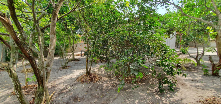 Imagem Casa com 1 Quarto à Venda, 739 m² em Caiçara - Arraial Do Cabo