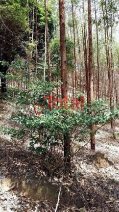 Imagem Terreno à Venda, 70.000 m² em Zona Rural - Marliéria Imagem Terreno à Venda, 70.000 m² em Zona Rural - Marliéria
