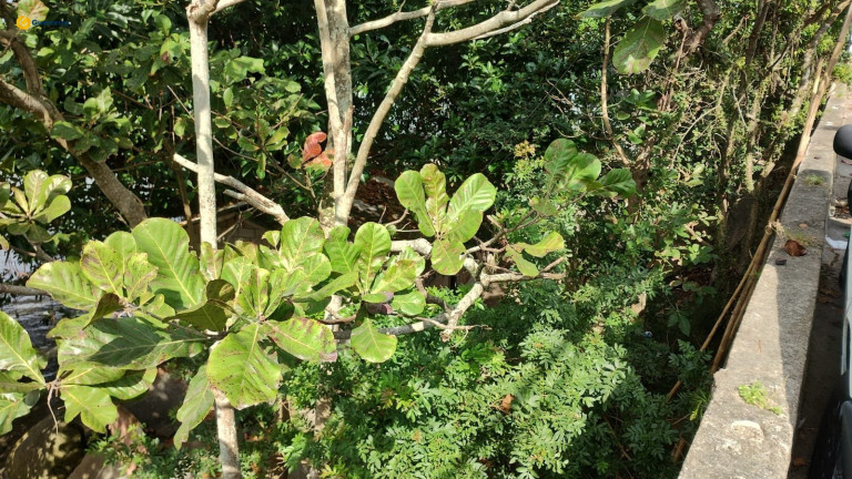 Terreno à Venda, 660 m² em José Mendes - Florianópolis