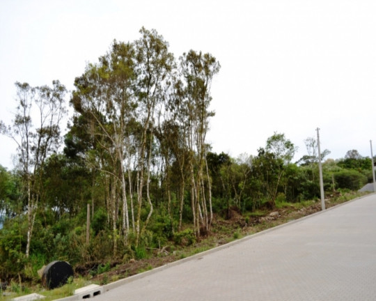 Imagem Imóvel à Venda, 370 m² em Linha Imperial - Nova Petrópolis