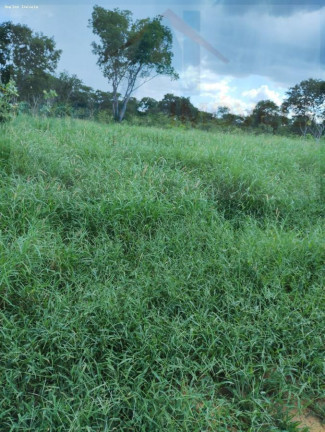 Imagem Fazenda à Venda, 4.050 m² em Jaíba