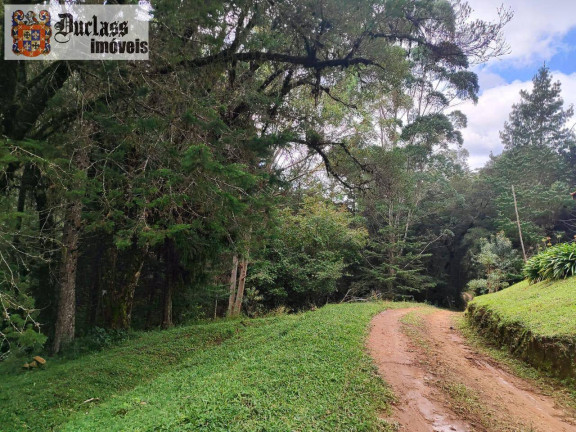 Imagem Chácara à Venda, 60.500 m² em Bom Jardim - Camanducaia Imagem Chácara à Venda, 60.500 m² em Bom Jardim - Camanducaia