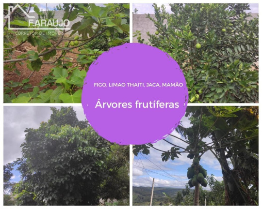 Imagem Imóvel com 6 Quartos à Venda, 600 m² em Piraporinha - Salto De Pirapora