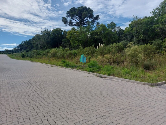 Imagem Terreno à Venda, 360 m² em Santo Antão - Bento Gonçalves