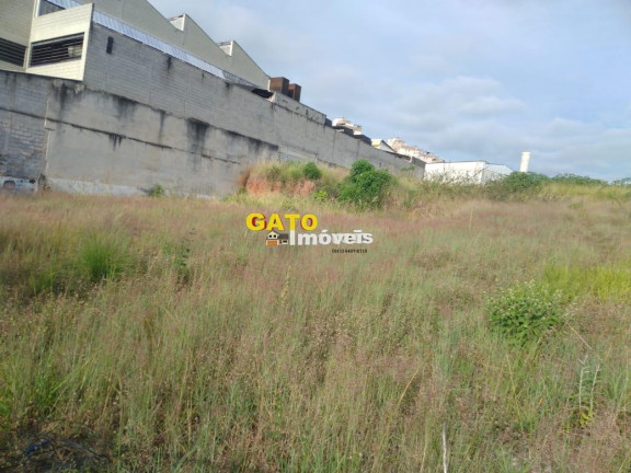 Terreno à Venda, 2.920 m² em São Luiz (polvilho) - Cajamar