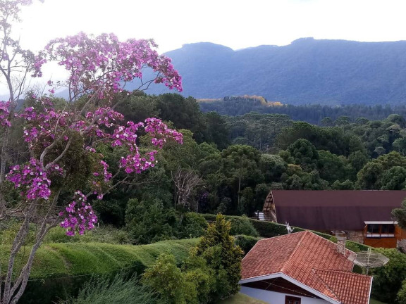 Casa com 6 Quartos à Venda, 3.300 m² em Campos Do Jordão