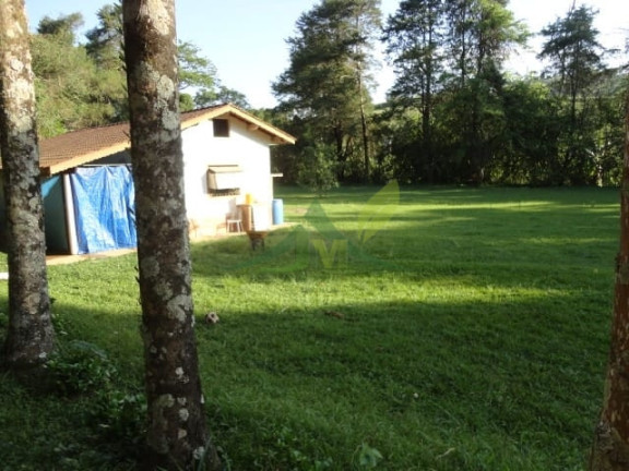 Imagem Chácara com 3 Quartos à Venda, 35.000 m² em Centro - Piracaia Imagem Chácara com 3 Quartos à Venda, 35.000 m² em Centro - Piracaia
