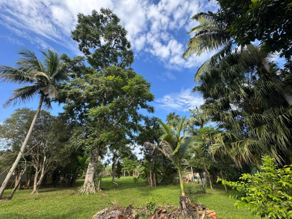 Imagem Imóvel com 3 Quartos à Venda, 1.800 m² em Ana Dias - Peruíbe Imagem Imóvel com 3 Quartos à Venda, 1.800 m² em Ana Dias - Peruíbe