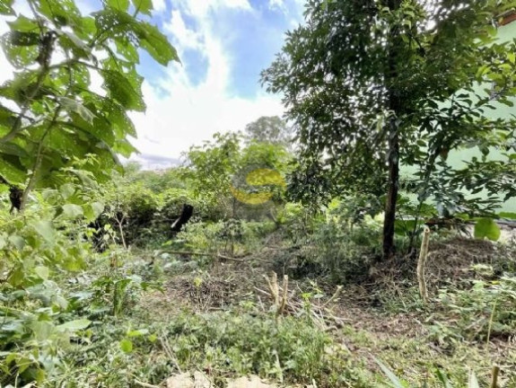 Imagem Terreno à Venda, 907 m² em Vila Santo Antônio - Cotia Imagem Terreno à Venda, 907 m² em Vila Santo Antônio - Cotia