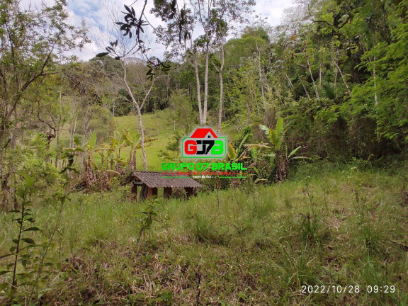 Imagem Chácara à Venda, 16.000 m² em Canaã - Jambeiro Imagem Chácara à Venda, 16.000 m² em Canaã - Jambeiro