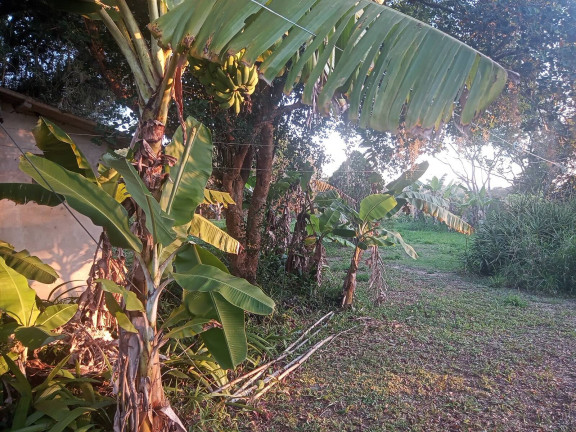 Imagem Casa com 3 Quartos à Venda, 2.400 m² em águas Claras - Viamão
