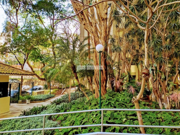 Imagem Apartamento com 3 Quartos à Venda, 80 m² em Vila Sofia - São Paulo