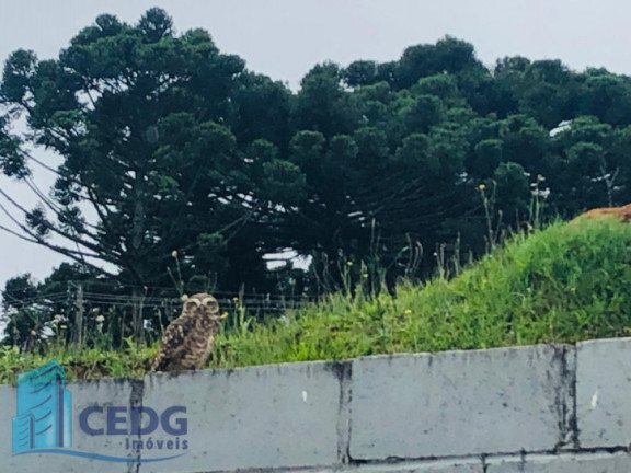 Imagem Terreno em Condomínio à Venda, 608 m² em Ferraria - Campo Largo