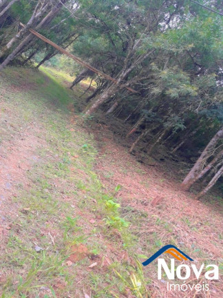 Imagem Imóvel à Venda,  em Linha Araripe - Nova Petrópolis