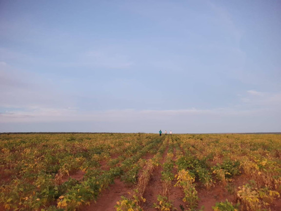 Fazenda à Venda, 407 m² em Go - Mambaí