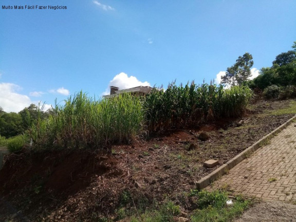 Terreno à Venda, 750 m² em Pousada Da Neve - Nova Petrópolis