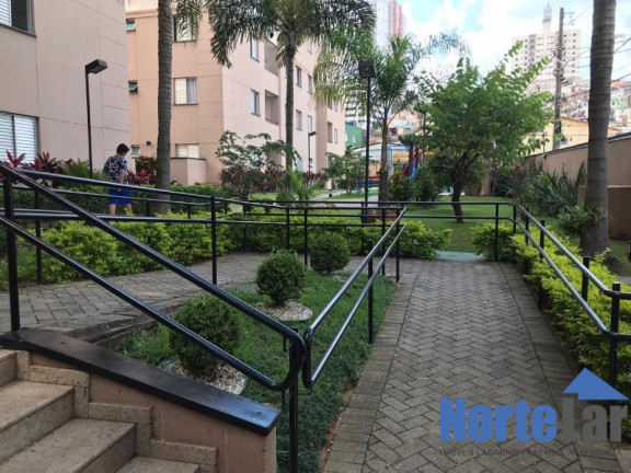 Imagem Apartamento com 2 Quartos à Venda, 50 m² em Vila Roque - São Paulo