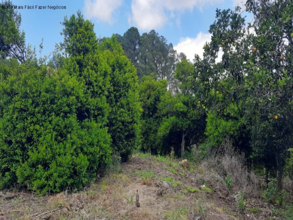 Terreno à Venda, 1.577 m² em Logradouro - Nova Petrópolis