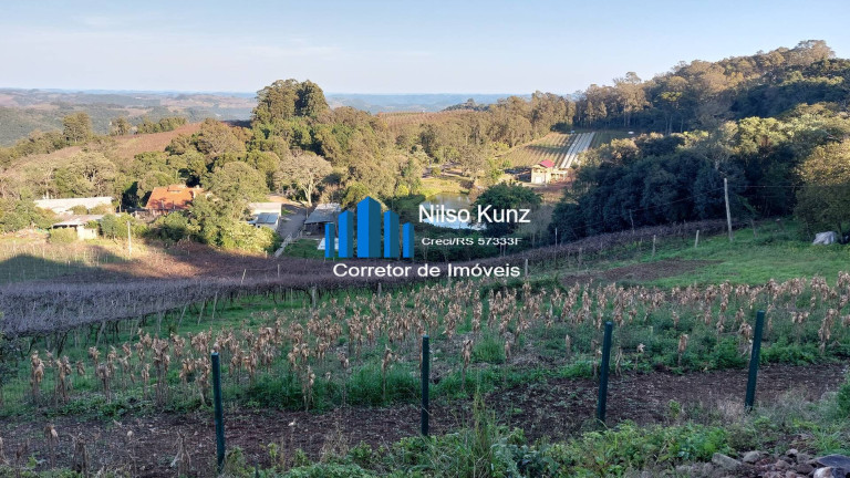 Imagem Chácara com 2 Quartos à Venda, 900 m² em Tuiuti - Bento Gonçalves Imagem Chácara com 2 Quartos à Venda, 900 m² em Tuiuti - Bento Gonçalves