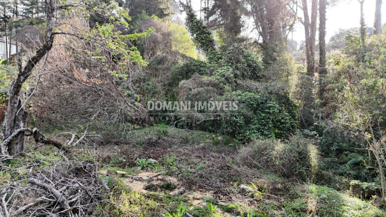 Imagem Terreno à Venda, 1.200 m² em Região De Capivari - Campos Do Jordão Imagem Terreno à Venda, 1.200 m² em Região De Capivari - Campos Do Jordão