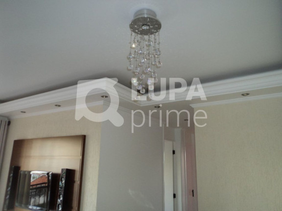 Imagem Apartamento com 3 Quartos à Venda, 60 m² em Lauzane Paulista - São Paulo Imagem Apartamento com 3 Quartos à Venda, 60 m² em Lauzane Paulista - São Paulo