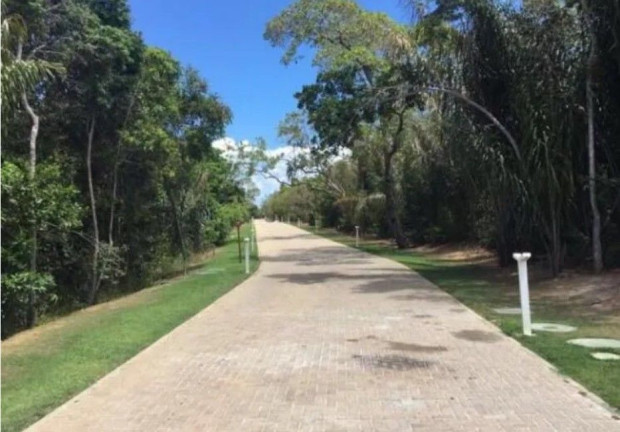 Imagem Terreno à Venda, 800 m² em Praia Do Forte - Mata De São João Imagem Terreno à Venda, 800 m² em Praia Do Forte - Mata De São João