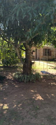 Imagem Chácara à Venda, 20.000 m² em Itapuã - Viamão Imagem Chácara à Venda, 20.000 m² em Itapuã - Viamão