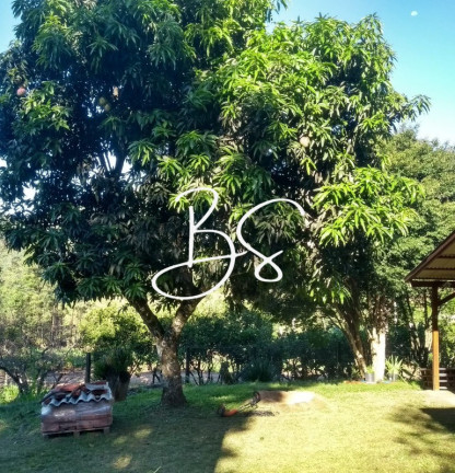 Imagem Imóvel com 3 Quartos à Venda, 10.000 m² em Estrada Geral - Igrejinha